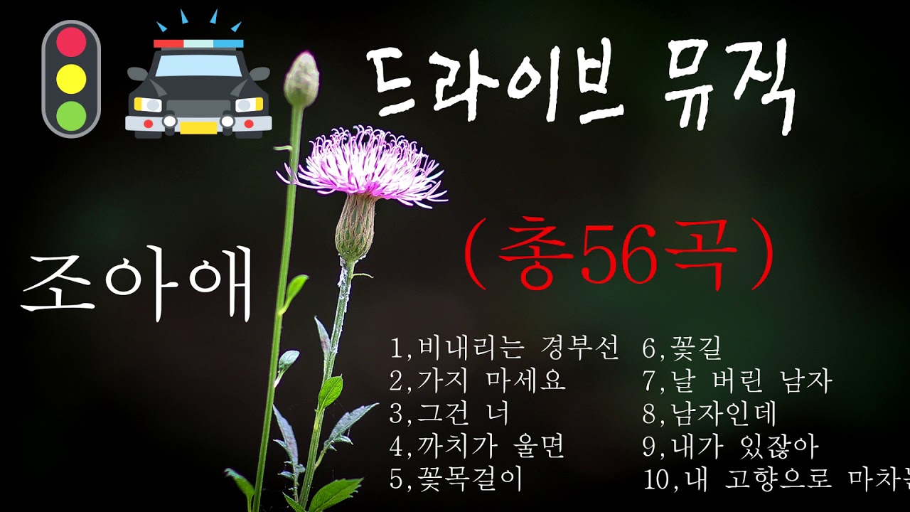 드라이브 뮤직(조아애)),디스코 뽕짝
