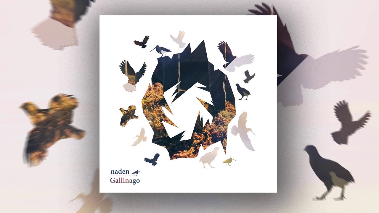 Naden - Claddagh