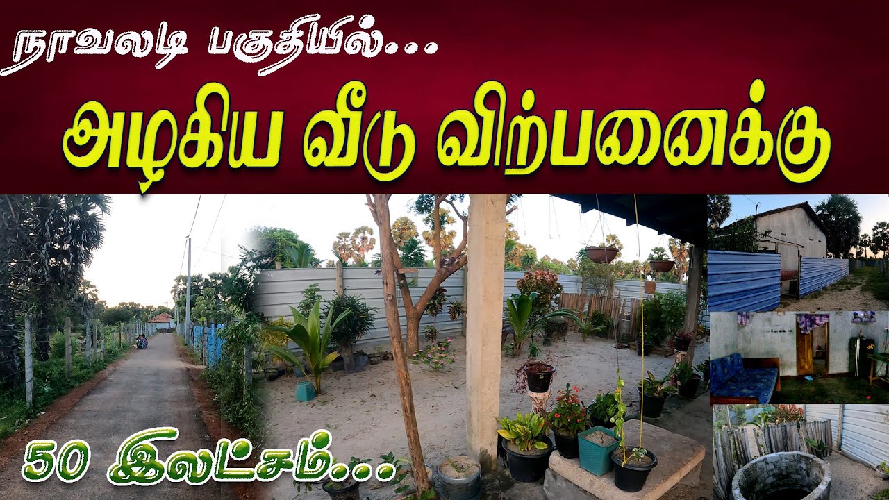 NP - 133 💥 அழகிய வீடு 50 இலட்சம் 💥 #jaffna l Northern Properties