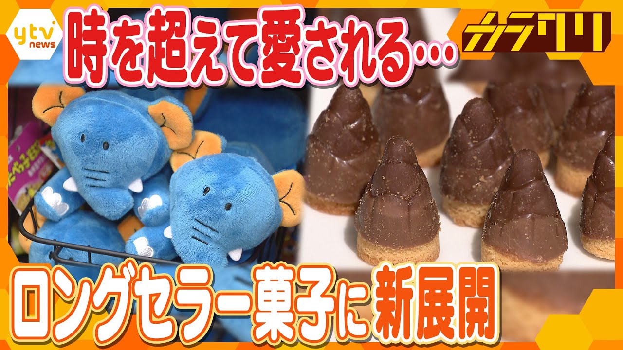 「たべっ子どうぶつ」「たけのこの里」…時を超えて愛されるロングセラー菓子の新たな戦略とは！