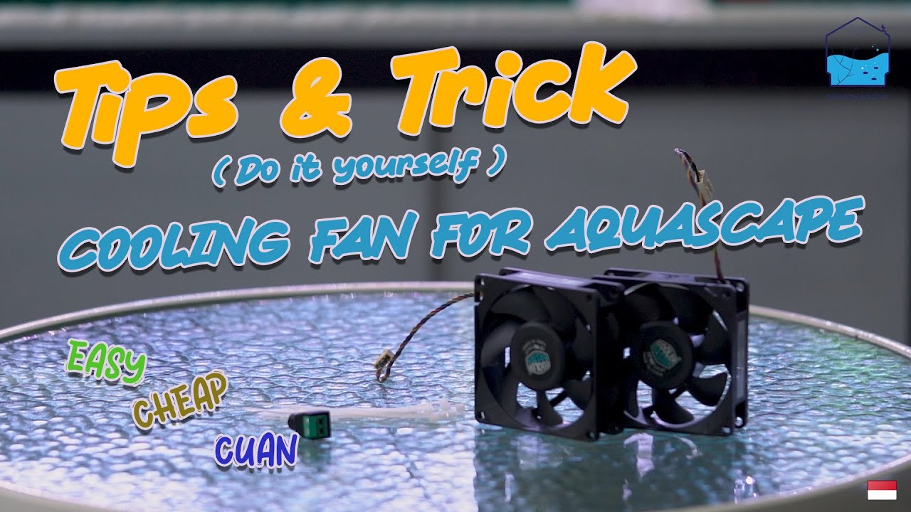 How to make cooling fan for aquascape | DIY Cooling Fan #diy #tipsandtricks #aquarium