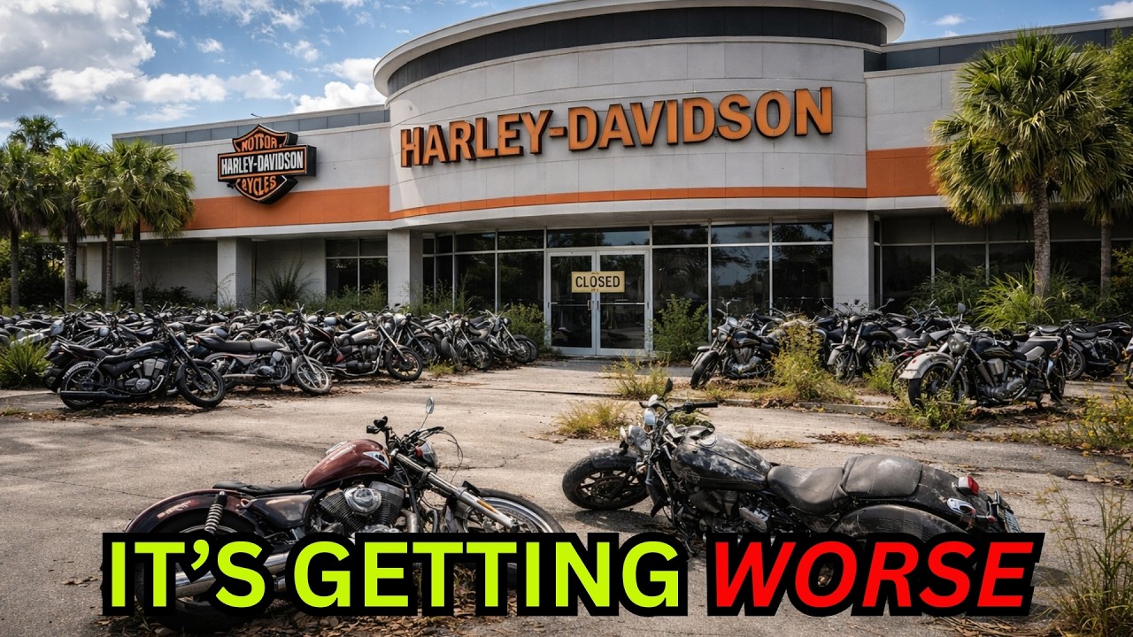 Harley Bet EVERYTHING on Florida-- And Lost