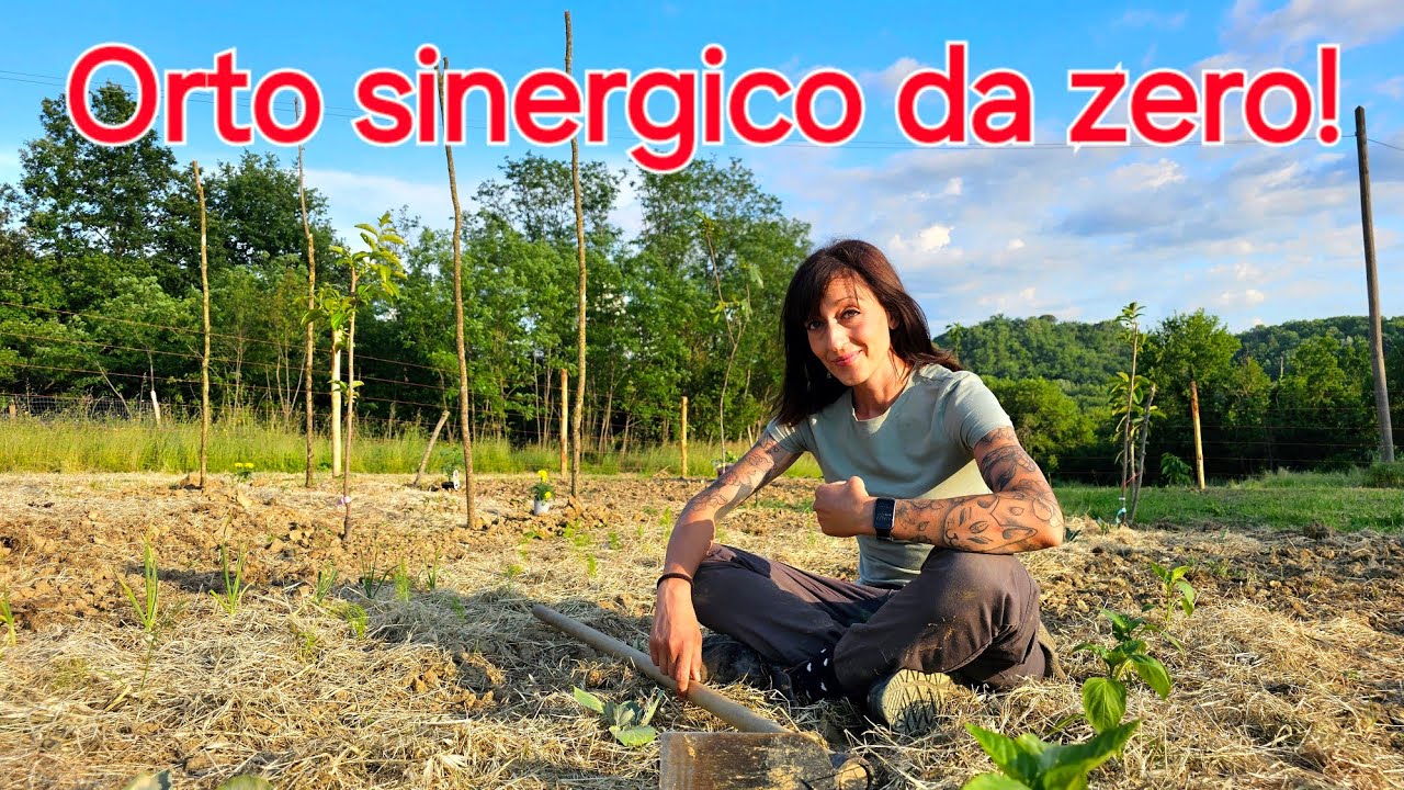 Realizziamo un orto sinergico da zero - passo per passo!