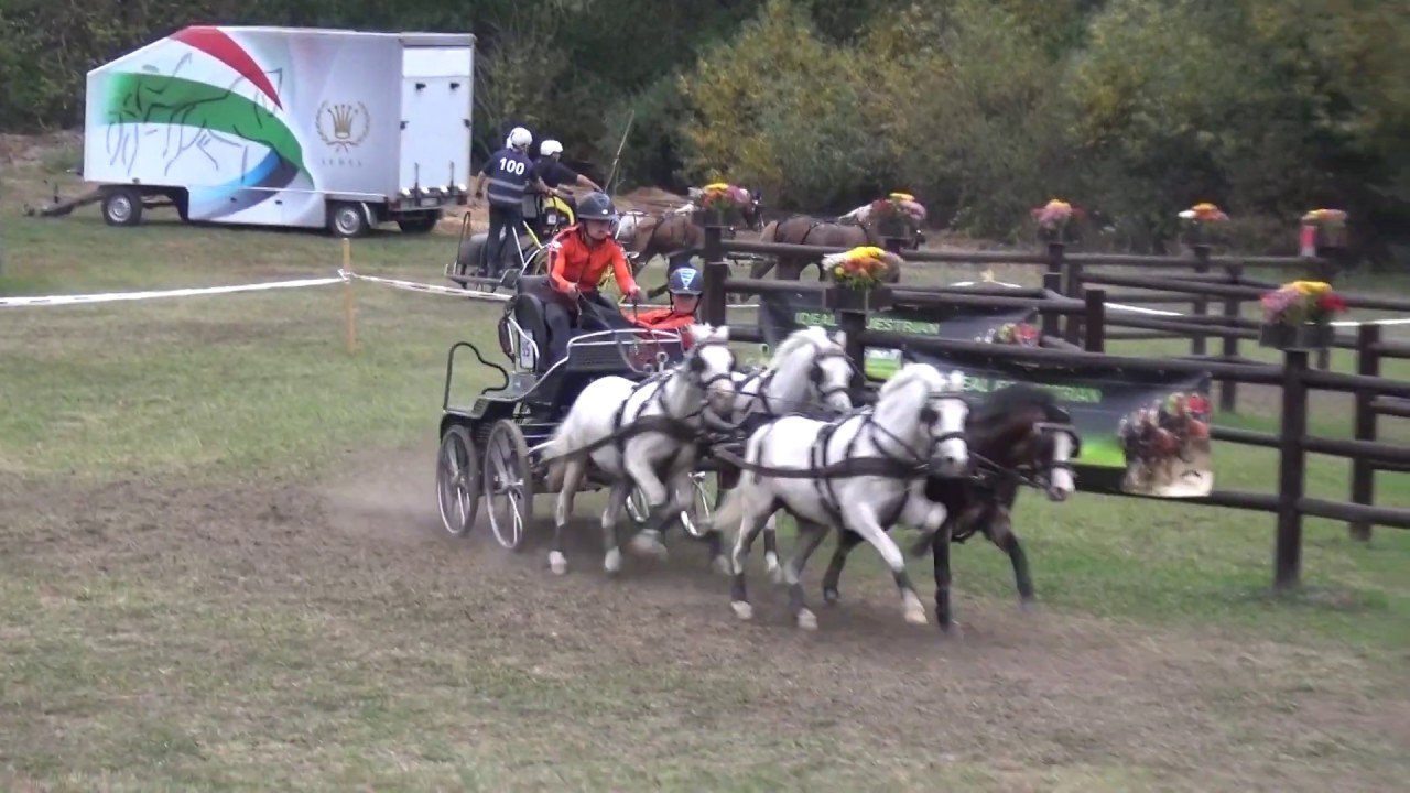 Edith CHARDON (NED) FEI CH-M-A Ponies, P4, Ászár-Kisbér (HUN), marathon, obst. Nr. 7, 28.09.2019