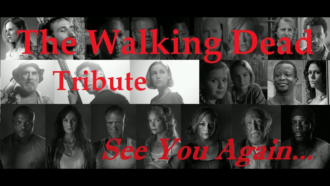 The Walking Dead Tribute || See You Again