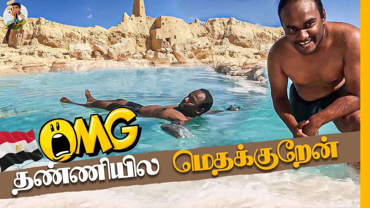 Egypt-ல் மனிதர்கள் மிதக்கும் அதிசய கடல் 🏊🏻 | Swimming In Siwa Oasis | Tamil Trekker