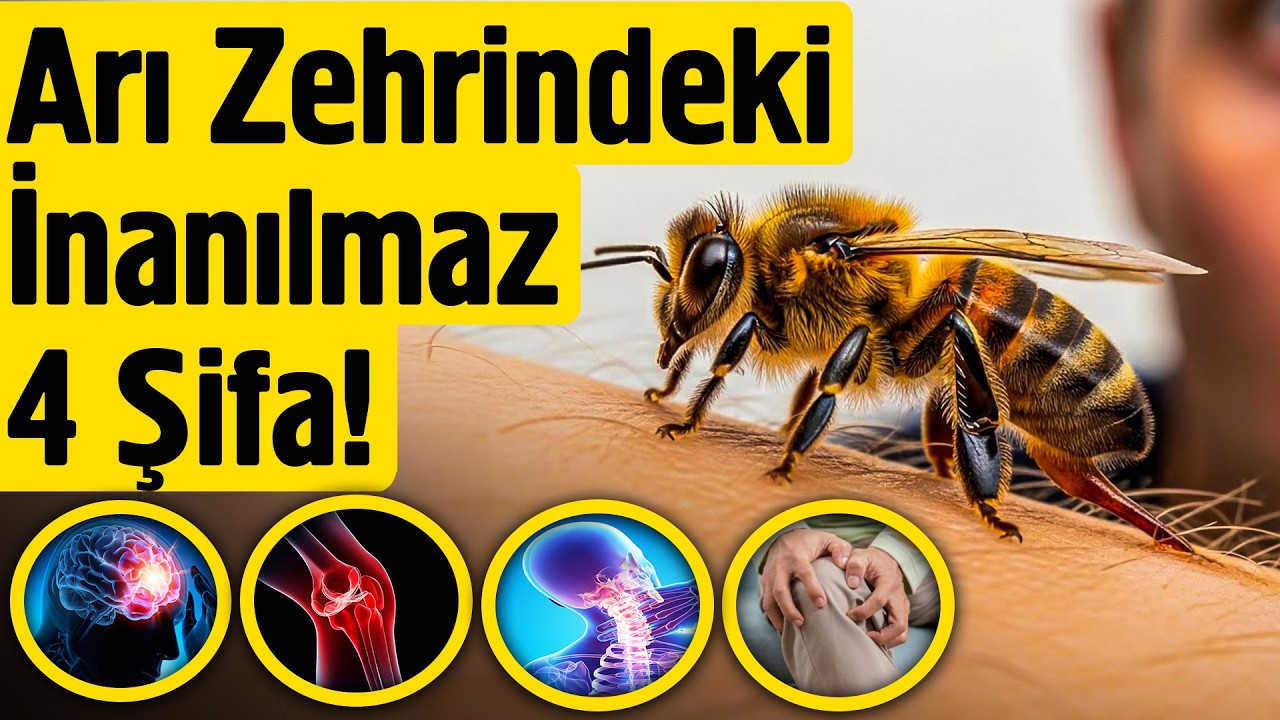 Arı Zehrindeki İnanılmaz 4 Şifa!