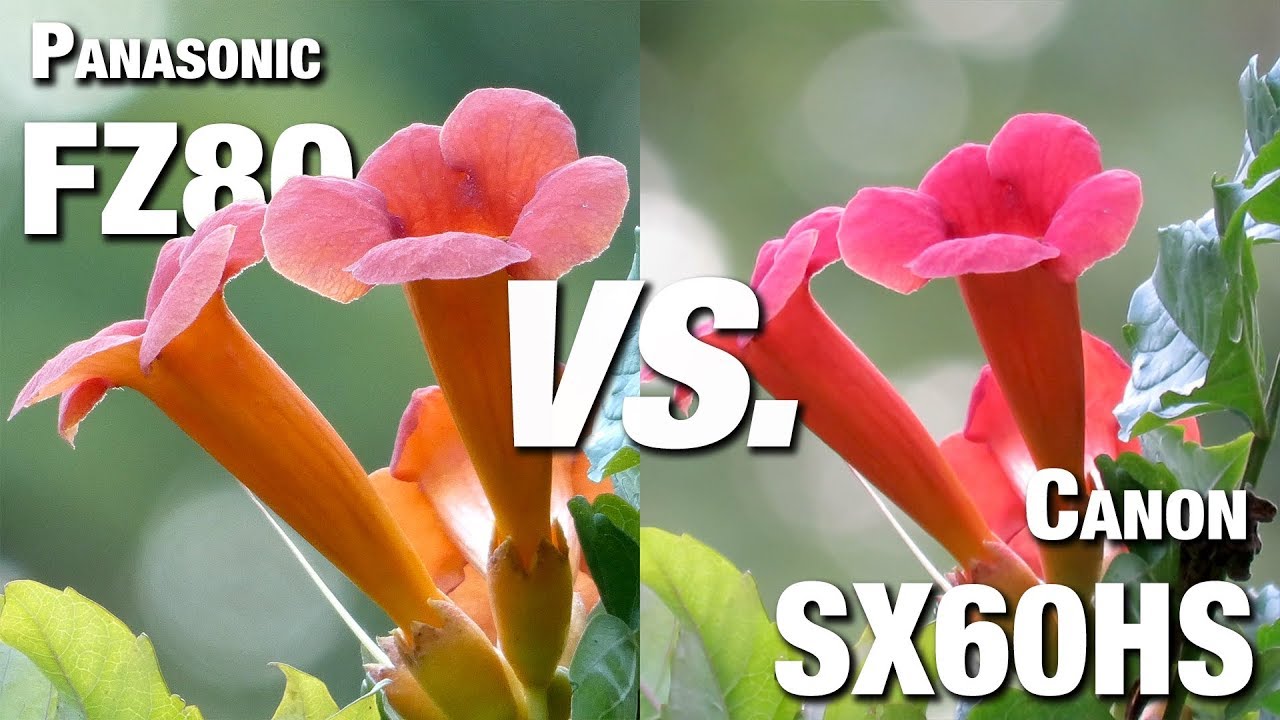 Canon SX60-HS vs. Panasonic FZ80 Video and Photo Quality Comparison