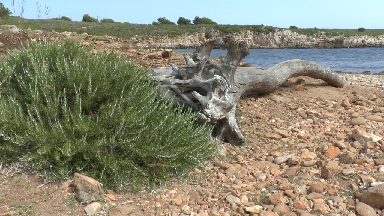 Menorca 2017 Cala Pudenta