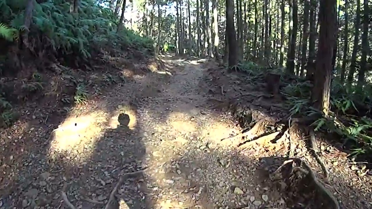 熊野古道 中辺路 歩き旅17「№94伏拝王子→熊野本宮大社」Kumano Kodo Nakahechi Travel on foot17 №94Fushiogami ouji→Kumano Hongu