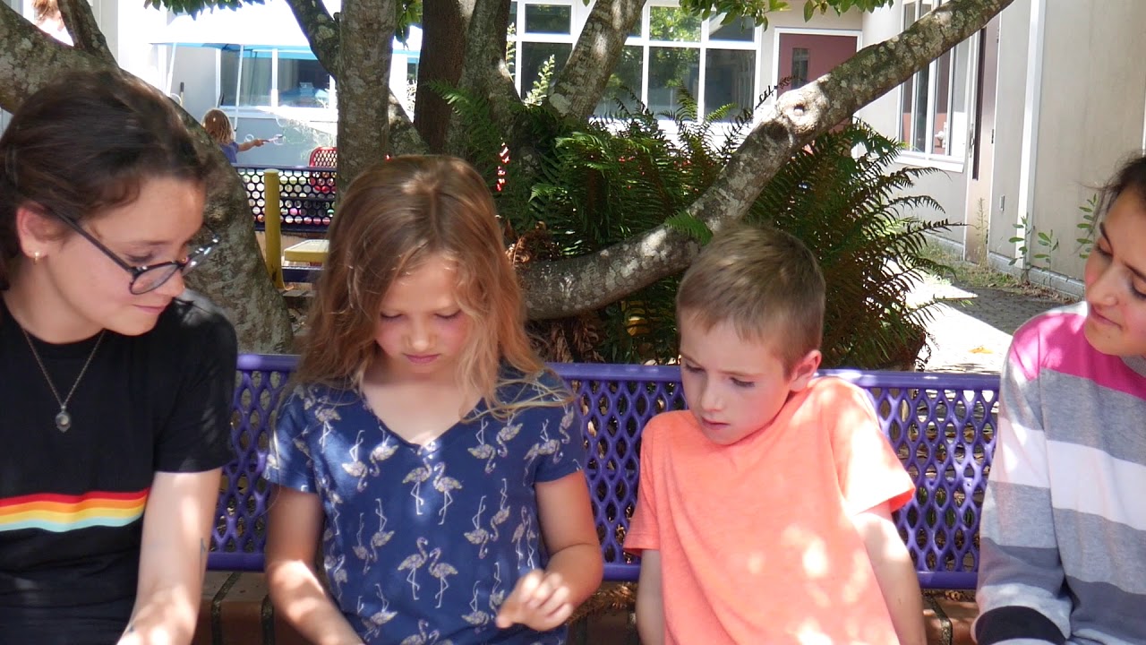 Nanaimo Ladysmith Public Schools - Strategic Plan 2019-2023