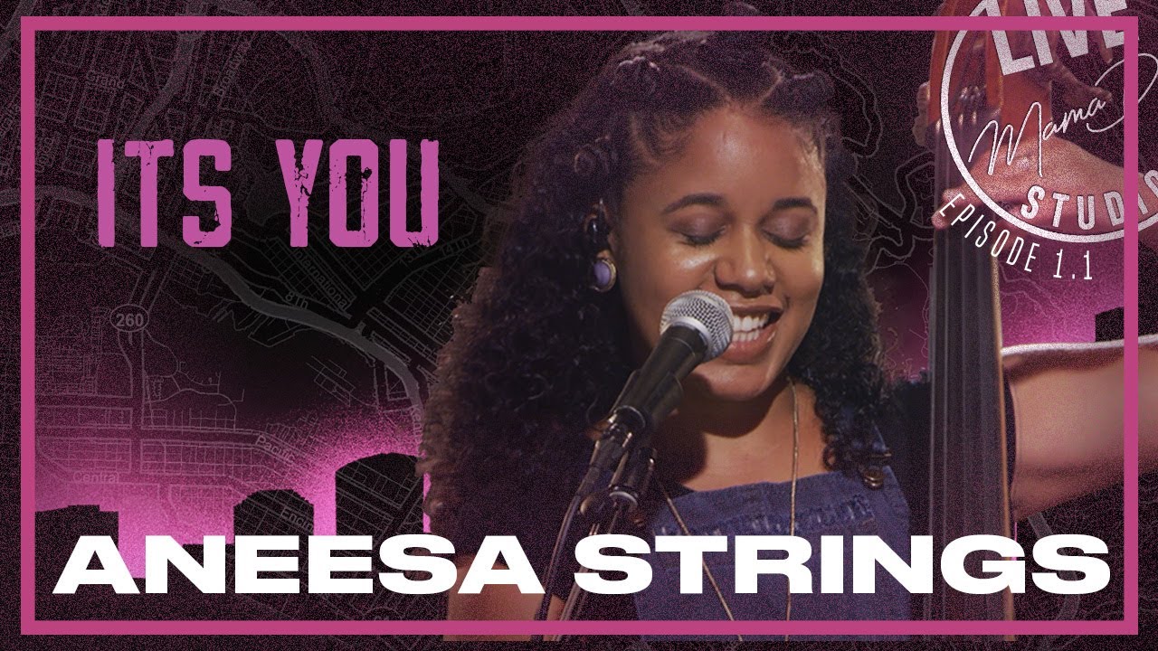 Aneesa Strings 
