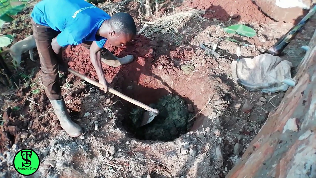 How to plant the Matooke /Banana seedling  | Okusimba Esukusa. - Sengas Tips