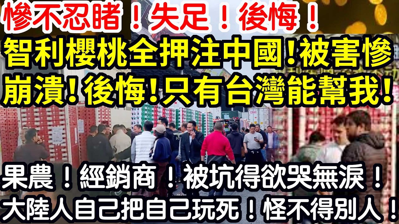 慘不忍睹！失足！後悔！智利櫻桃全押注中國！被害慘！崩潰！後悔！只有台灣能幫我！果農！經銷商！被坑得欲哭無淚！大陸人自己把自己玩死！怪不得別人！