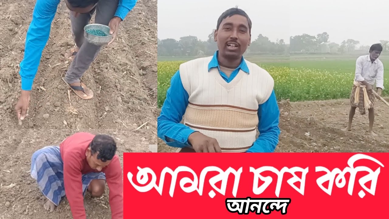 মাঠের বুক চিরে ফসল ফলানোর আনন্দ ও সাহিত্যের ছোঁয়া
