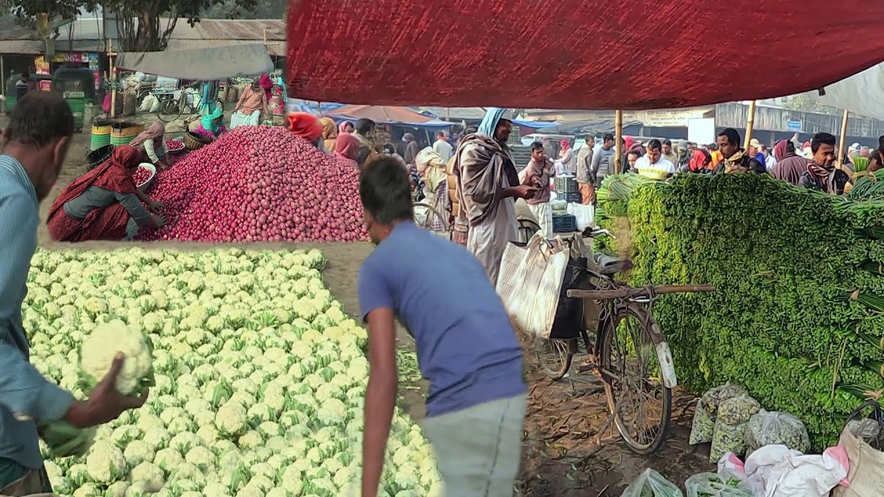 উত্তরাঞ্চলের সর্ববৃহৎ সবজির মেলা মহাস্থান হাটে (২০২৩) || @PanoramaDocumentary