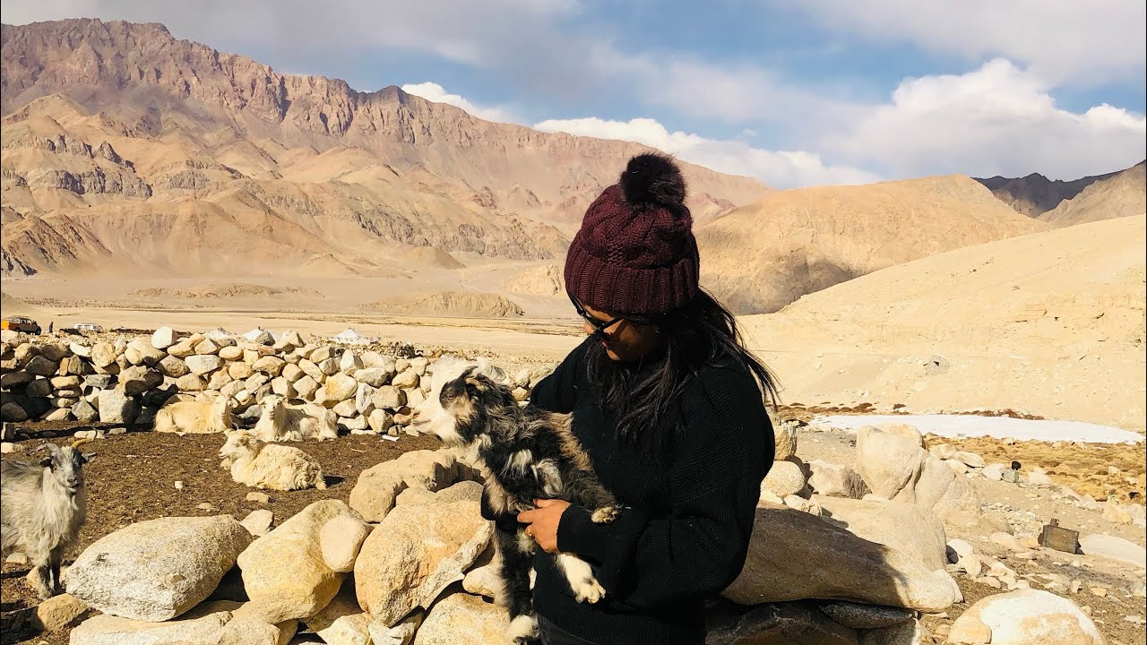 Demchok part 2 ! Changthang plateau