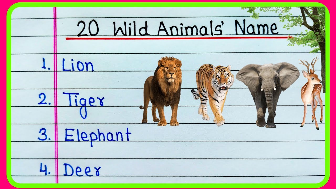 20 Wild Animals Name in English | Wild Animals Name | Wild Animals