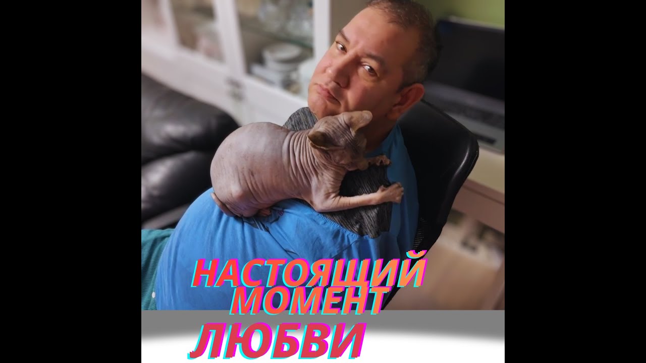 В этом видео человек без рук просто сидит и ласкается с тремя котами. Без слов. Без объяснений.