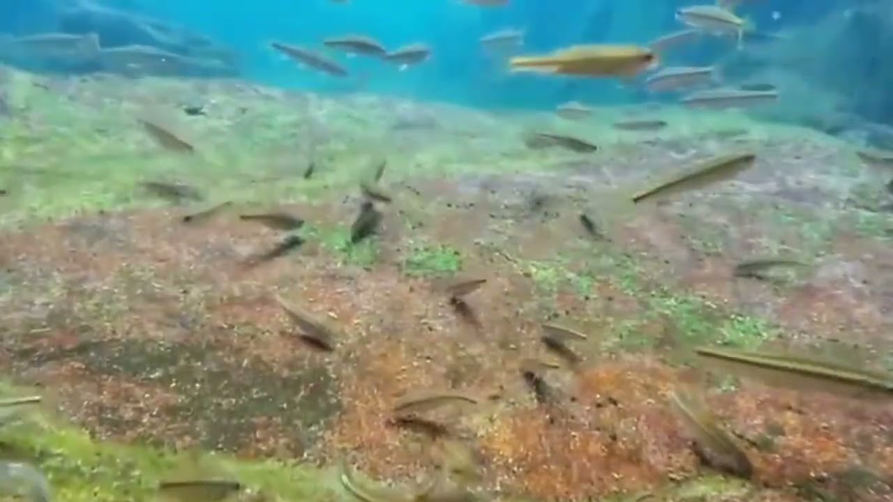ORAÇÃO PODEROSA COM A PALAVRA DE DEUS  Receba Força, Paz e Motivação Hoje