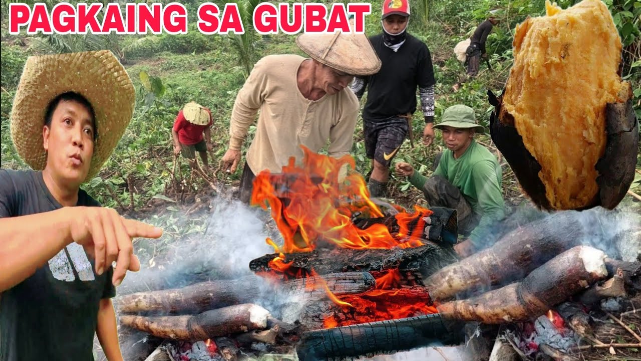 Pang Survive na Pagkain. Pagkaing Gubat inihaw na Balinghoy...Gawin mo ito masarap mayabo