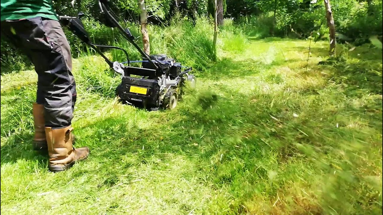 WEIBANG Virtue 53 Lawn Mower Cutting OVERGROWN Long Grass