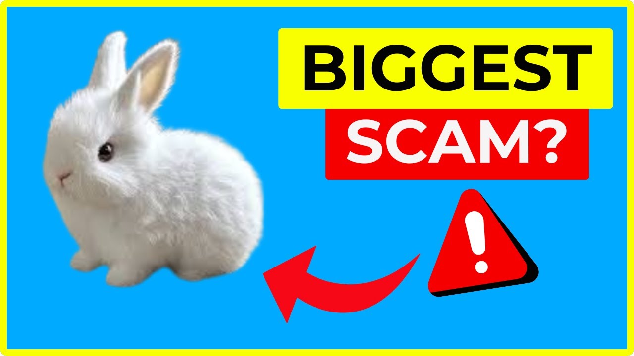 Fanyil BunnyPal Review &ndash; Is This Bunny Plush Legit or a Scam? (2025) Full Guide