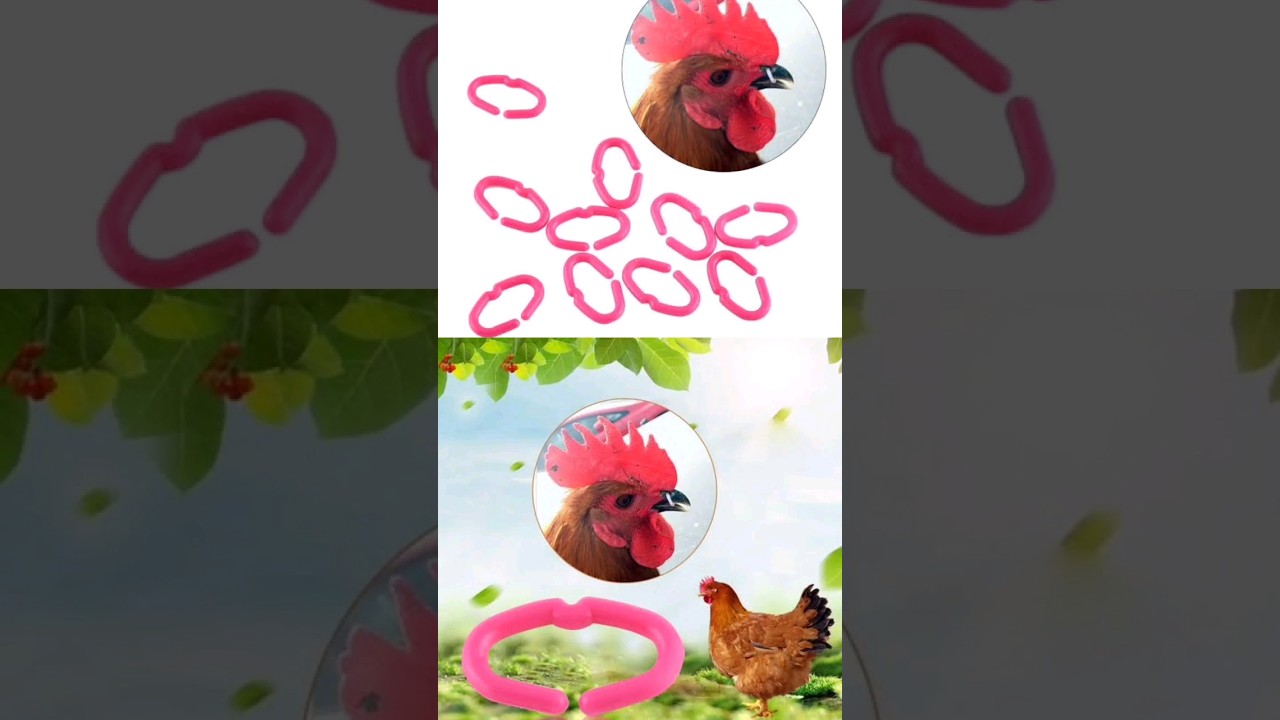 Poultry Products #nosepin #eyeblander #dummyegg #poultry #farming #hensfarming