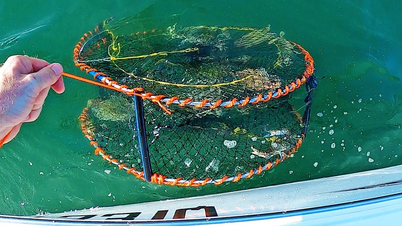 Crabs GALORE!! (catch and cook)