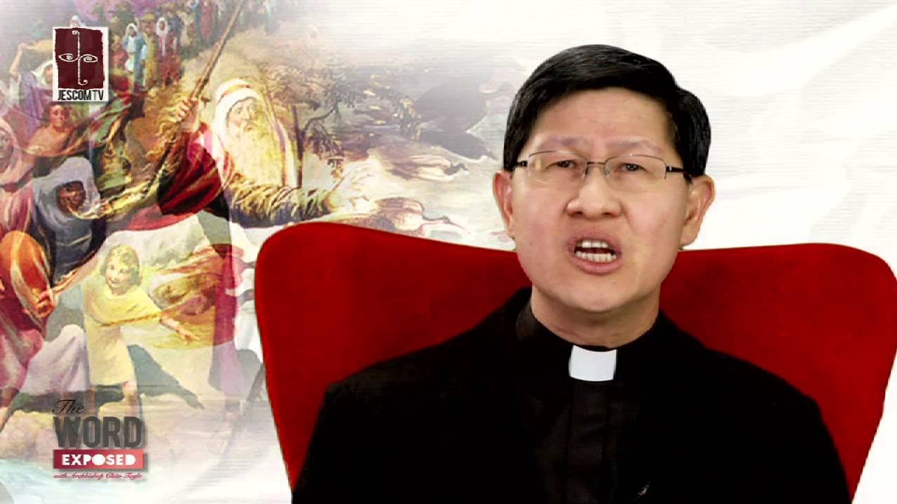 The Faith Exposed - Catechism: Credo I
