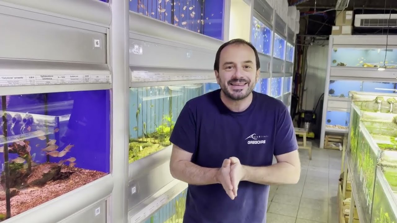 Tout ce que vous ne saviez pas que vous ignoriez sur le Scalaire !!!