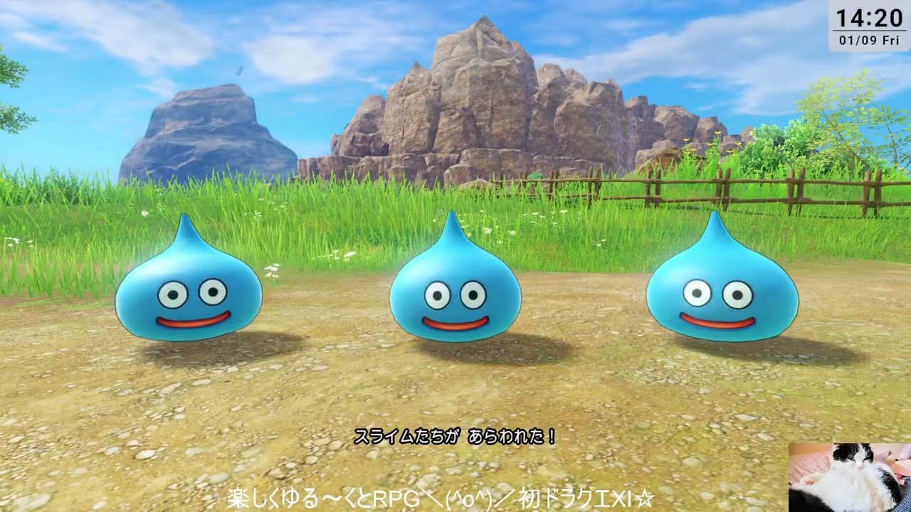 【初プレイ】久々のドラクエシリーズやってみる☆ネタバレ有り！