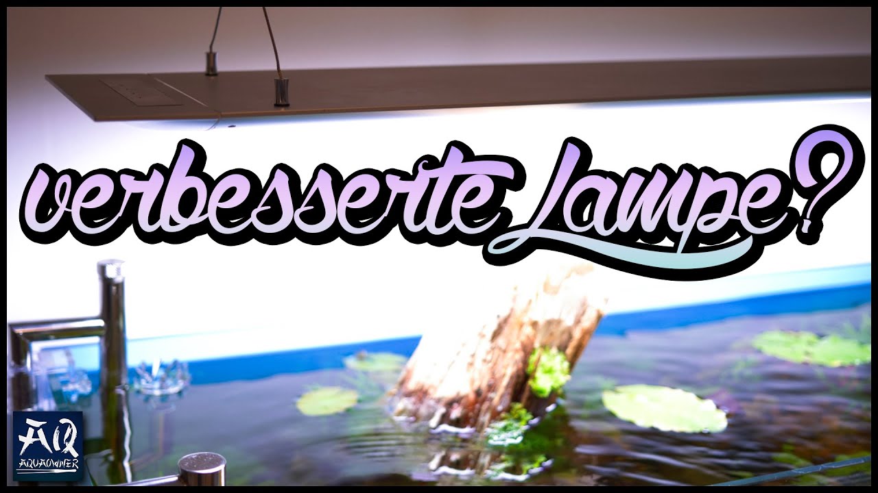 Weiterentwicklung der besten LED-Beleuchtung? ONF THE FLAT ONE Plus | AquaOwner