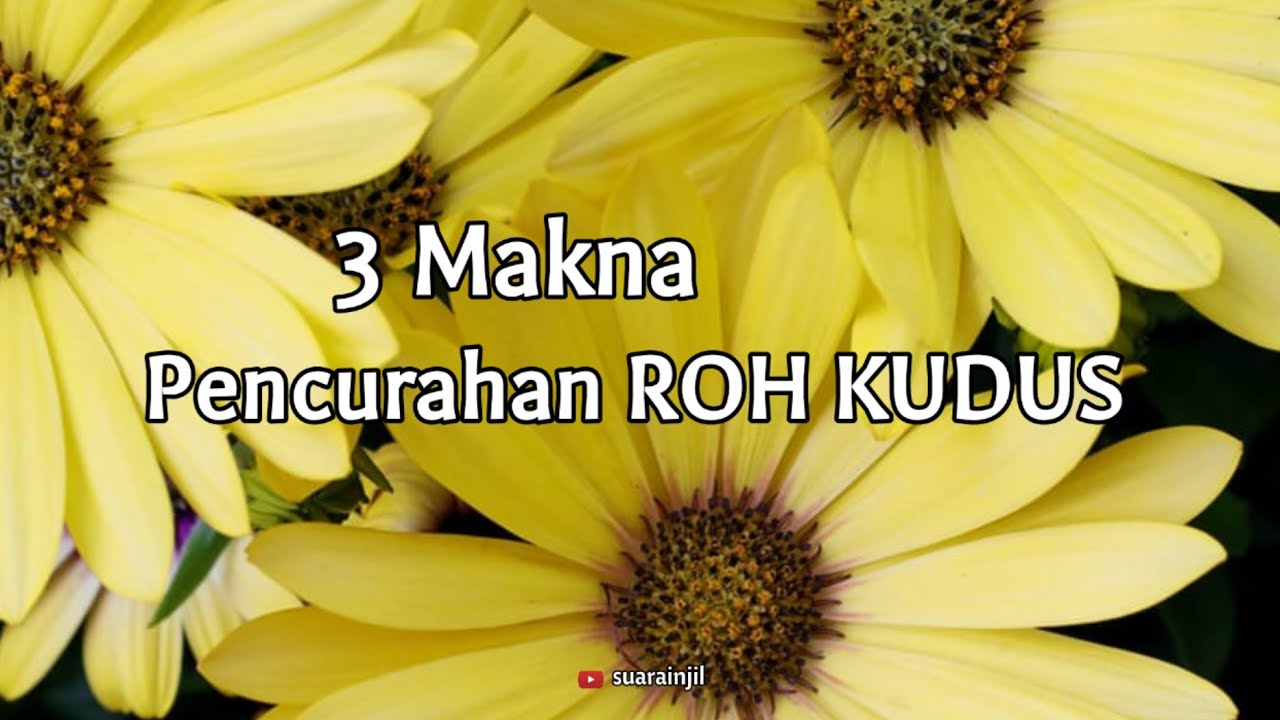 3 Makna Pencurahan ROH KUDUS. Renungan Dan Doa Pagi Suara Injil. 05.06.2022