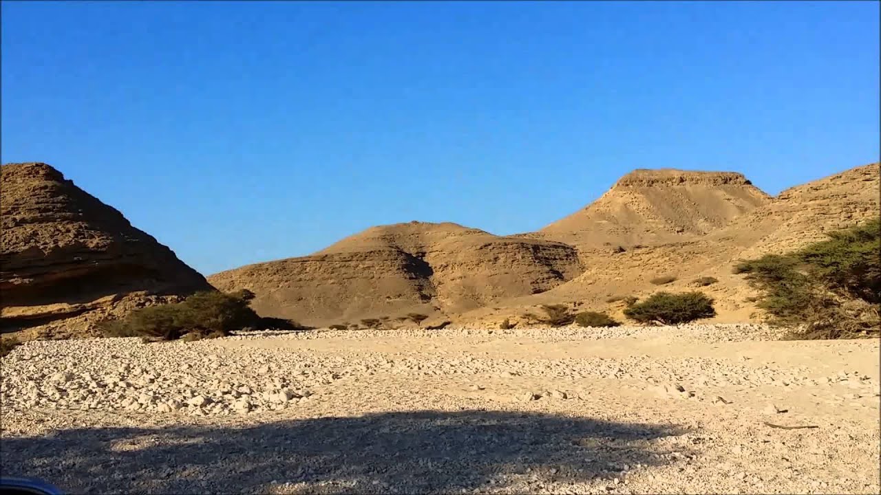 وادي ذهبون 23 1  2015