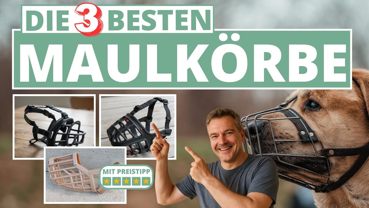 Bester Maulkorb f&uuml;r Hunde - Meine Top-3