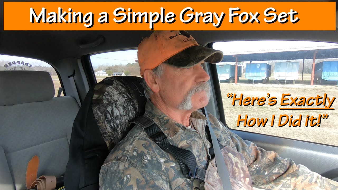 MAKING A SIMPLE GRAY FOX SET - Here's  Exactly How I Did It! - David Sawyer - Master Trapper