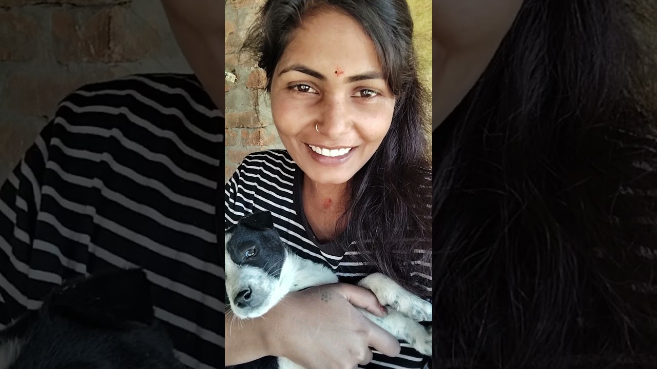 # mini#vlog #dillagna