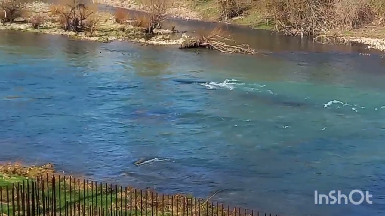 Banjaluka 5 mart 2026