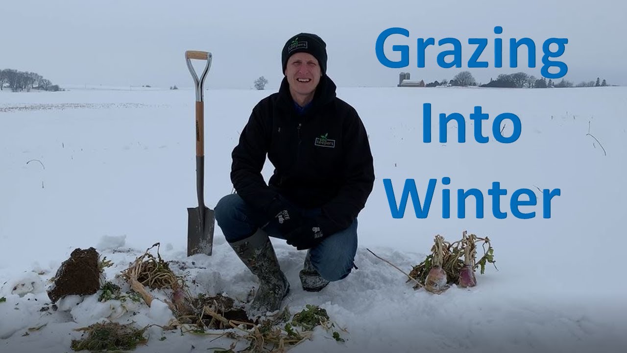 Grazing into Winter!