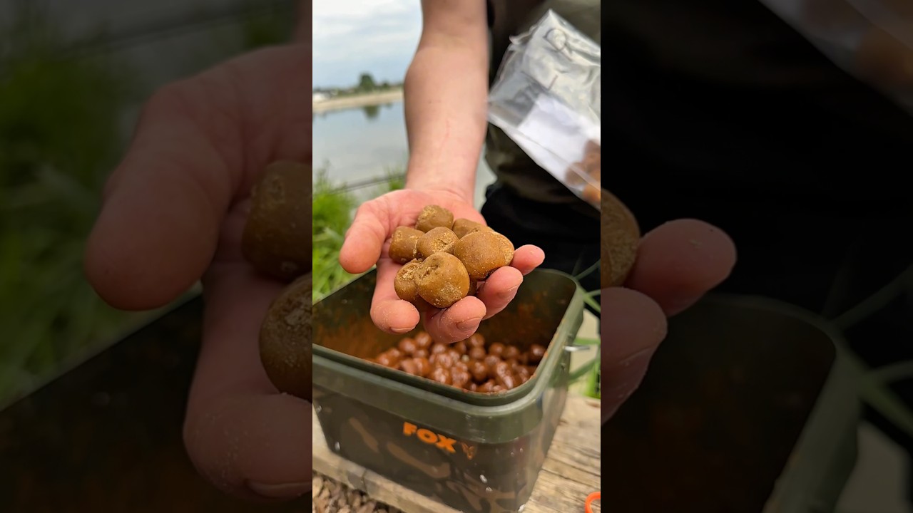 PRO TIP na ostrożne karpie☝️