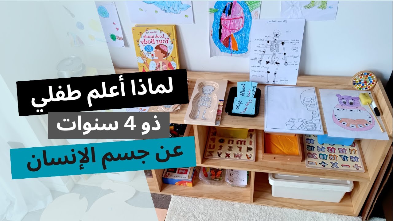 6 أنشطة تعليمية للأطفال حول جسم الإنسان | التعليم المنزلي