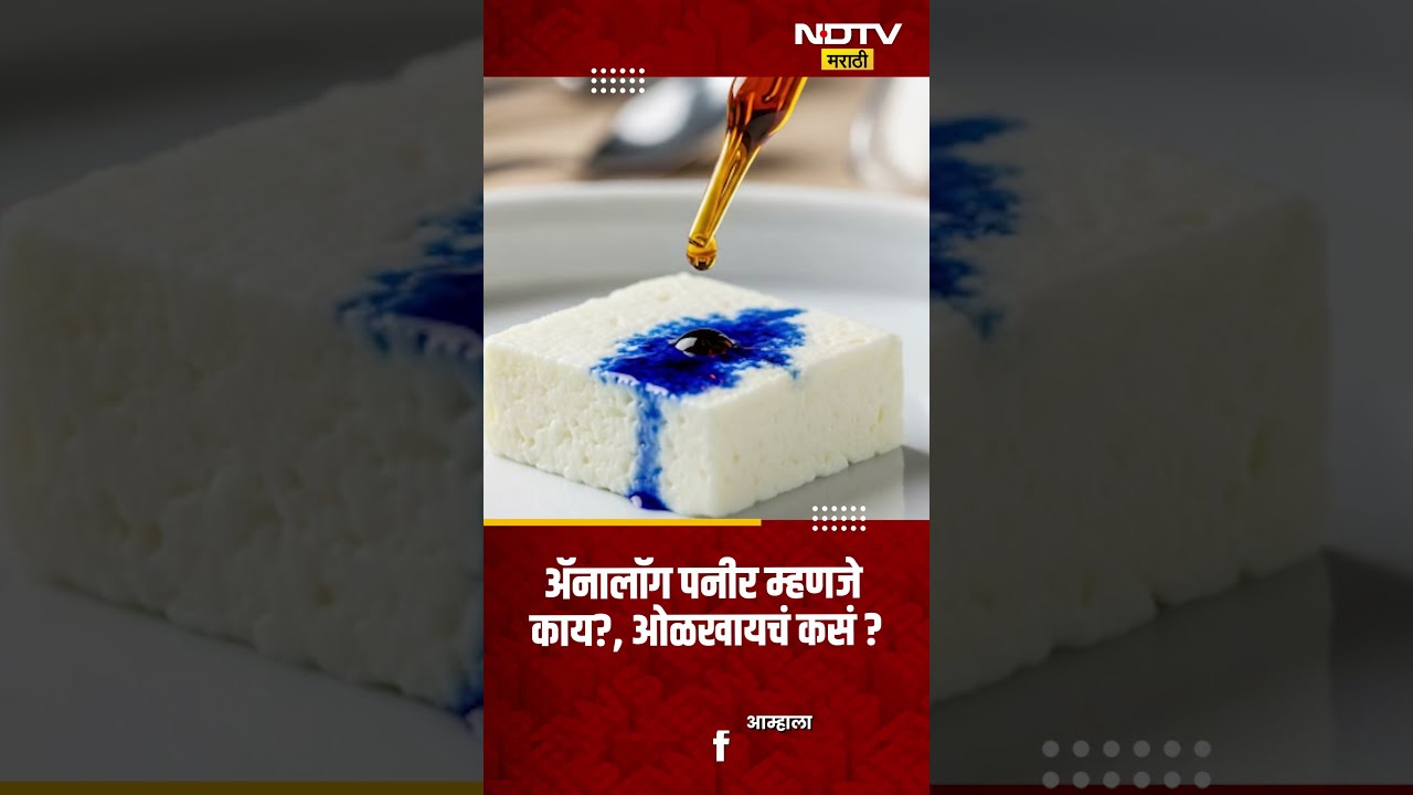 What is Analog Paneer | Analog Paneer म्हणजे काय?  ते ओळखायचं कसं ? ; जाणून घ्या ...| NDTV मराठी