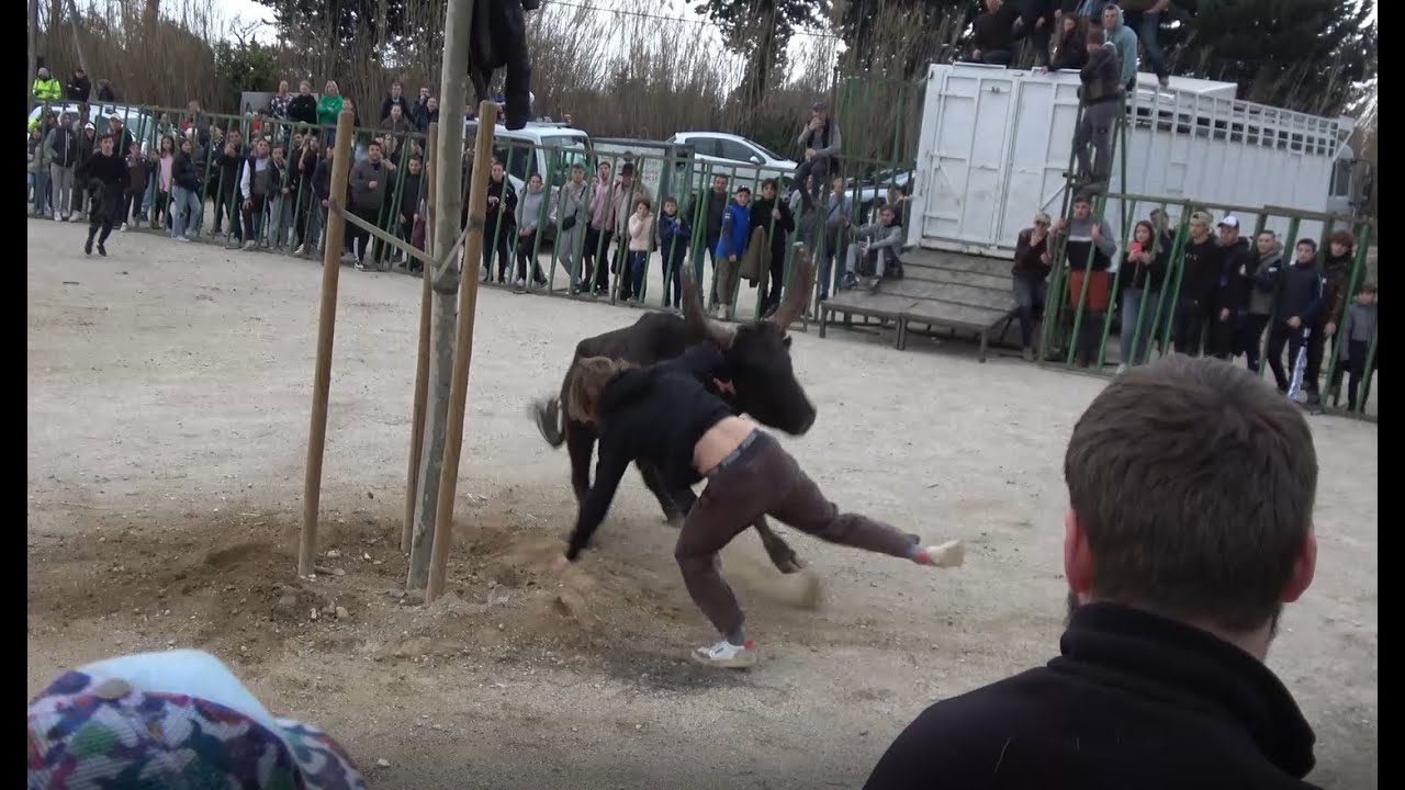 Course au plan - La Crau de Châteaurenard - 28.12.2023 😱🐂.