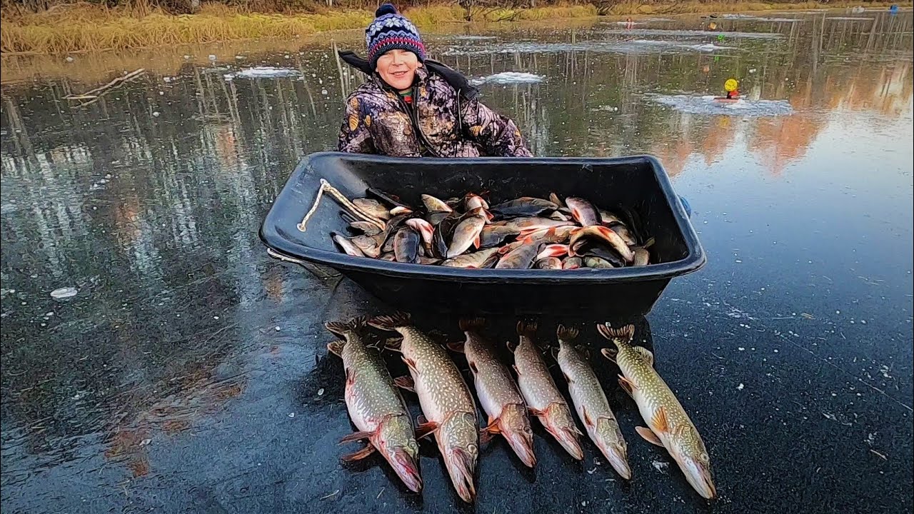 НАШЛИСЬ ГОРБАЧИ,  ПЕРВЫЙ ЛЁД 25-26 ПРОДОЛЖАЕТСЯ, МАКСИМ ПАПКУ ОБЛОВИЛ ПО ПОЛНОЙ ПРОГРАММЕ)!