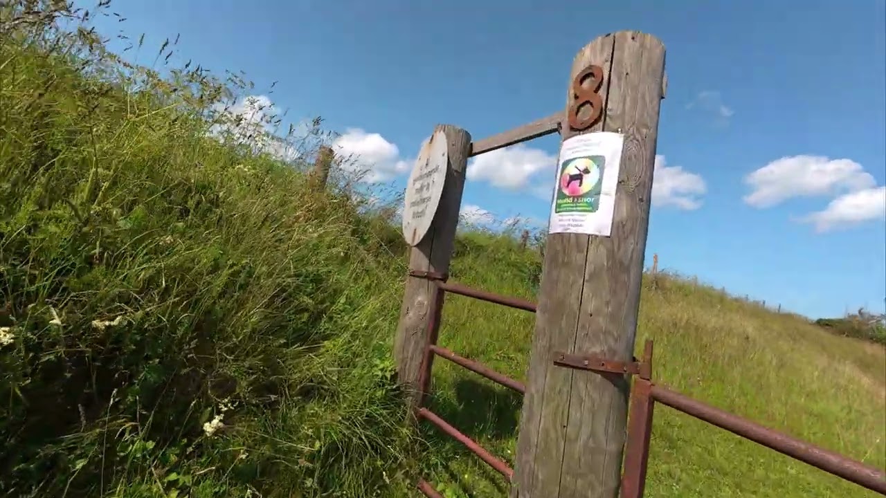 Altes Schiffswrack vor der Küste bei Grenaa, Dänemark