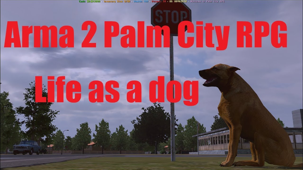 Arma 2 Palm City RPG Life as a dog