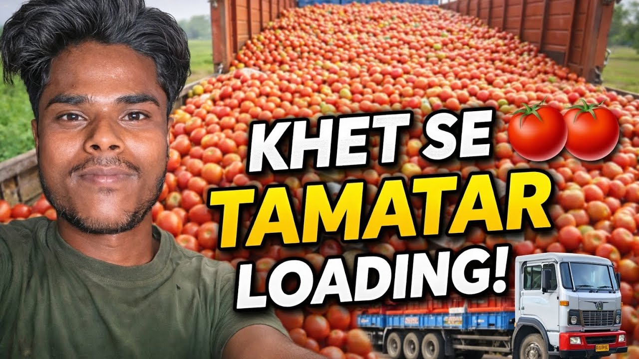 “Khet Se Tamatar Loading 🍅🚛 | Mandi Ke Liye Truck Bhar Diya | Truck Driver Vlog”