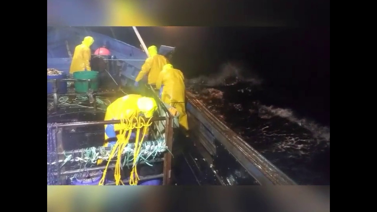 Whelk fishing 2