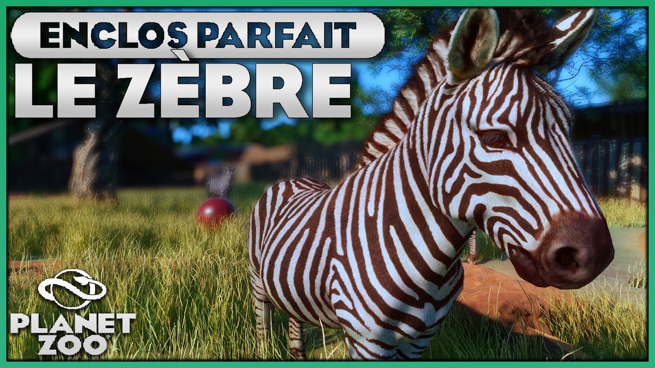 Le Zèbre (Dernier animal du Jeu) | LES ENCLOS PARFAITS : EPISODE 105 | PLANET ZOO